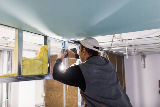 Best Attic Insulation Installation  in Mcgaheysville, VA