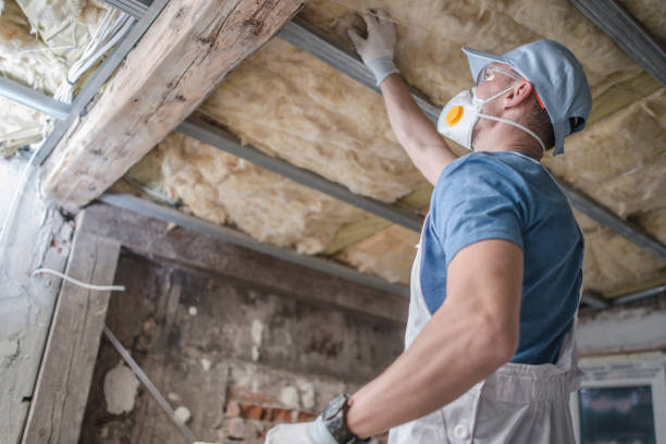 Best Blown-in Insulation  in Mcgaheysville, VA