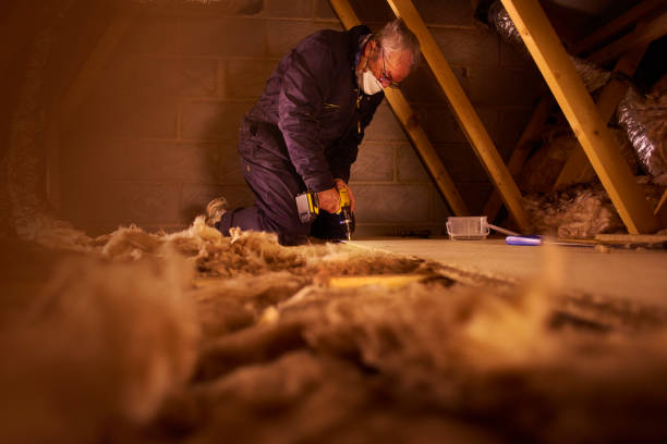 Best Cellulose Insulation  in Mcgaheysville, VA